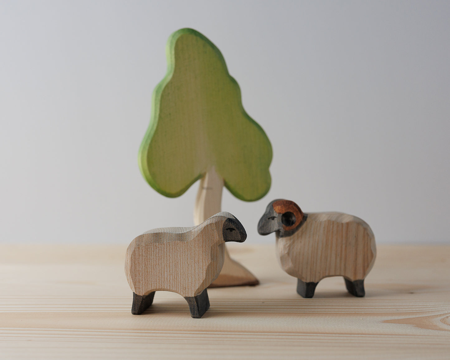 Ostheimer Moorland Sau