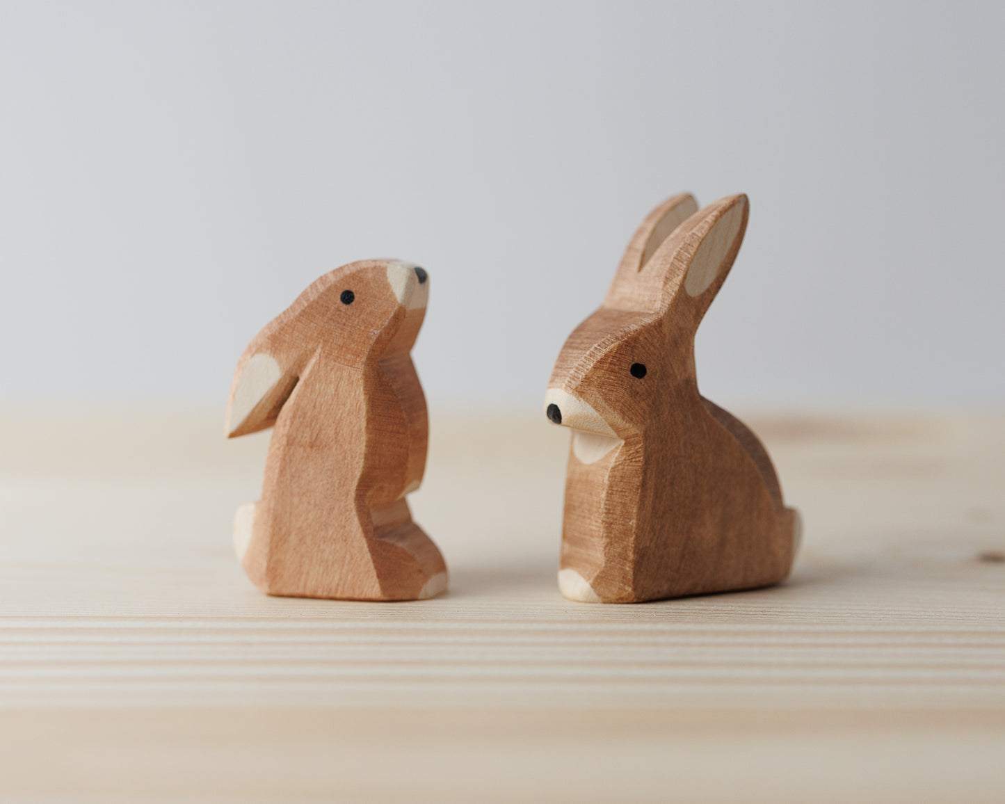 Ostheimer hare, sitter