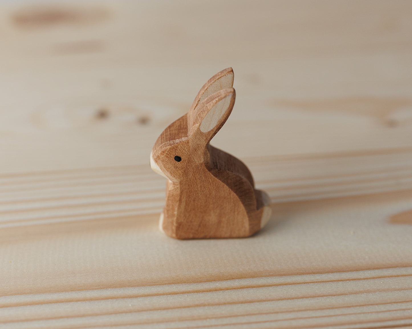 Ostheimer hare, sitter