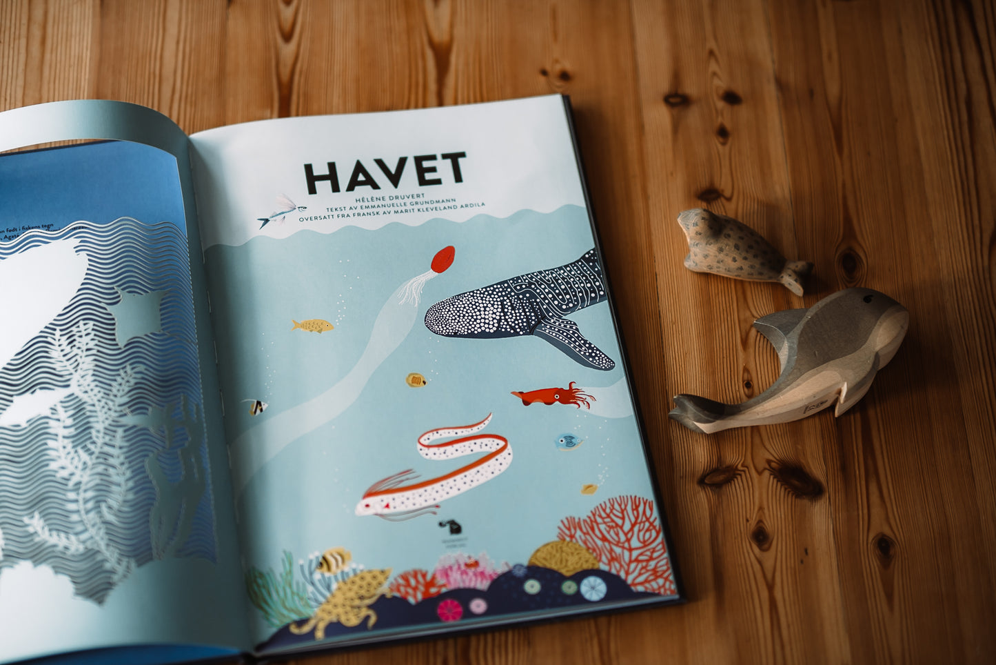 Havet - Emanuelle Grundmann