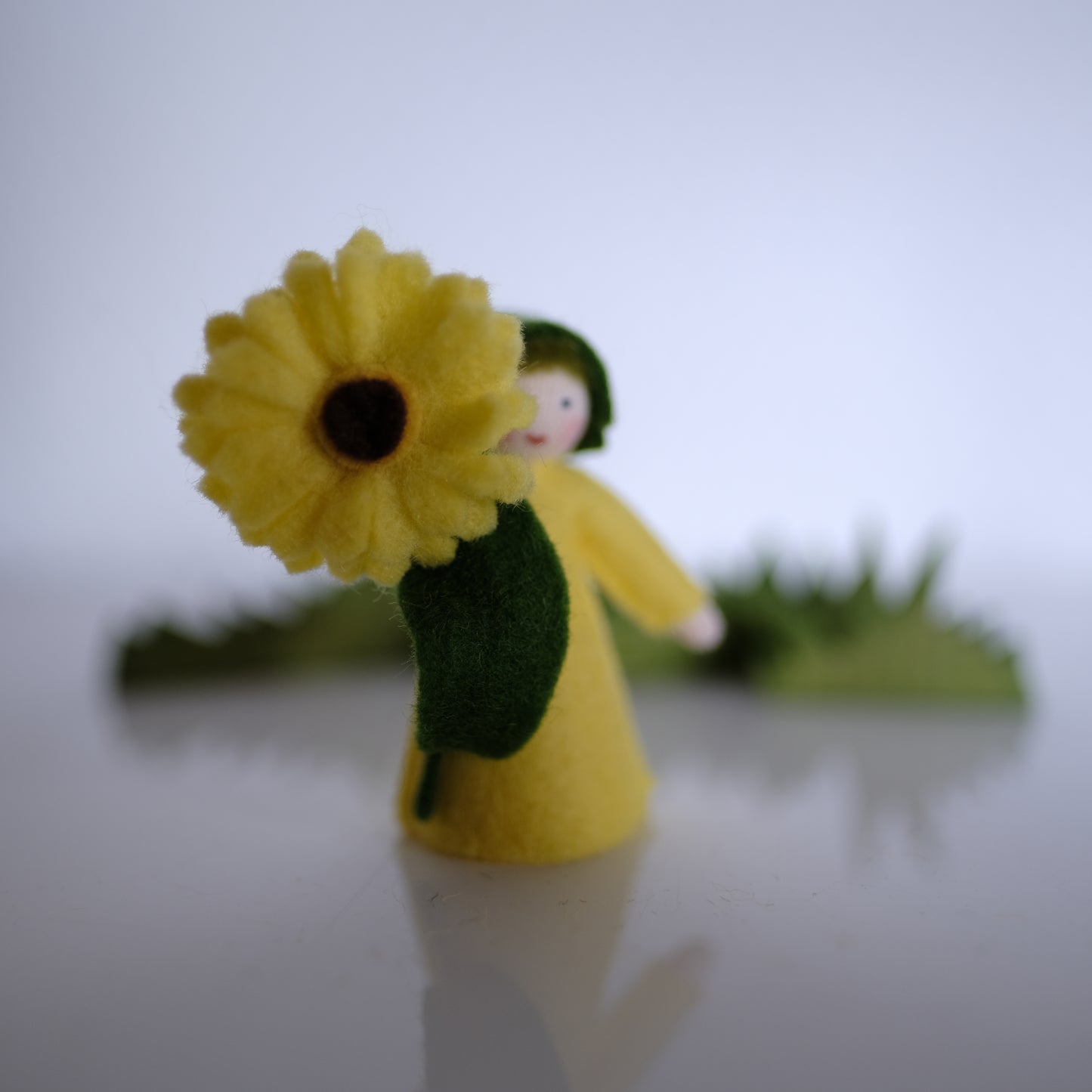 Ambrosius gul Calendula-fe