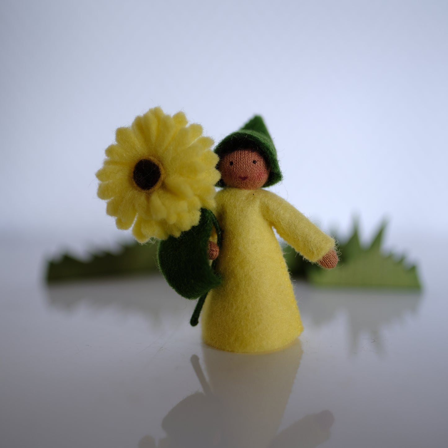 Ambrosius gul Calendula-fe