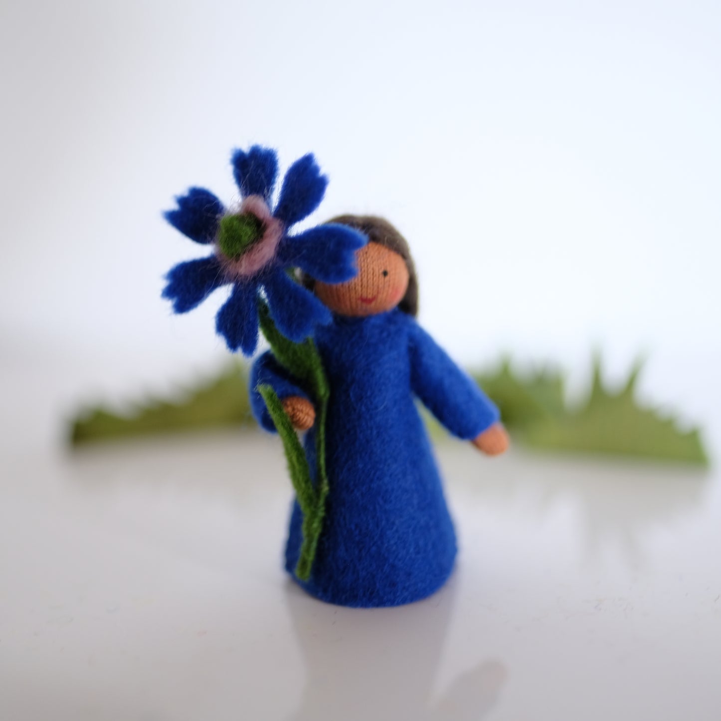 Ambrosius kornblomst-fe