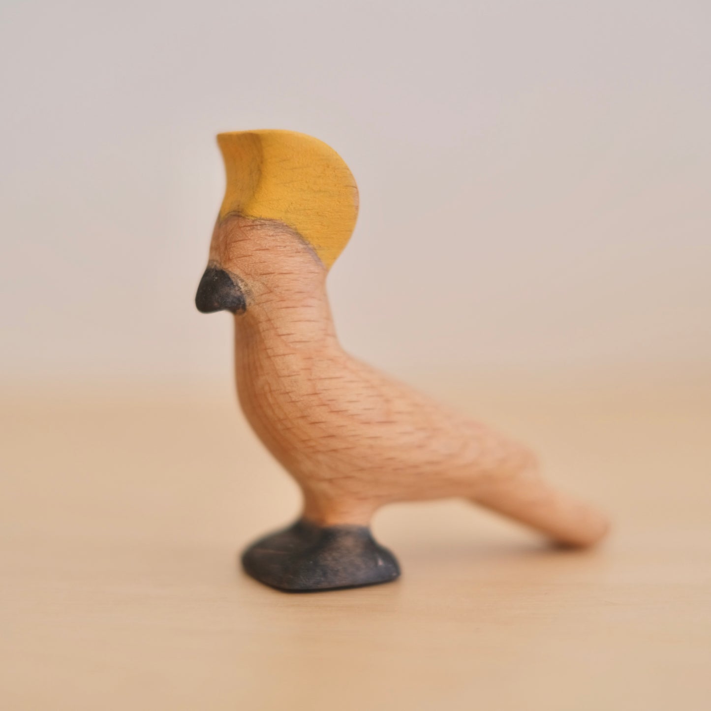 Cockatoo
