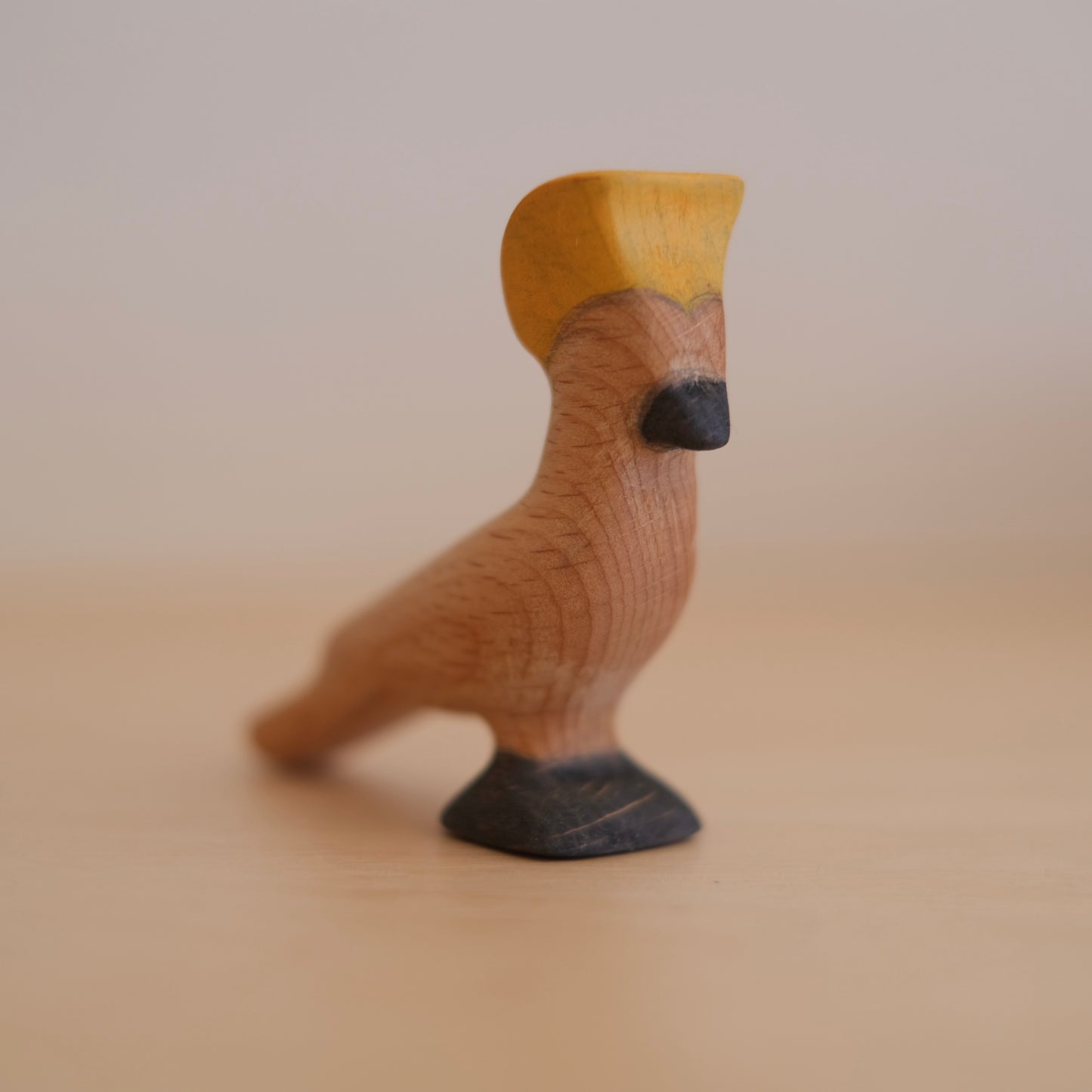 Cockatoo