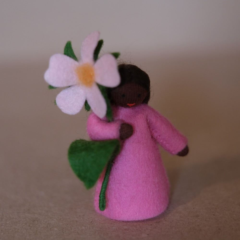 Ambrosius nyperose-fe