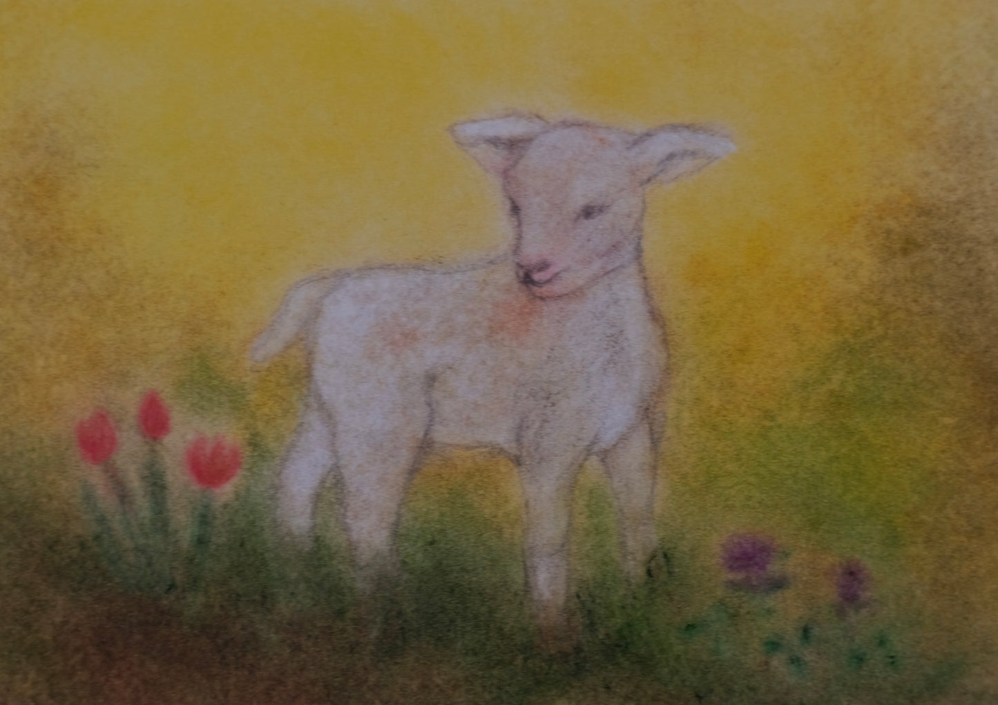 Lamm, Reiss