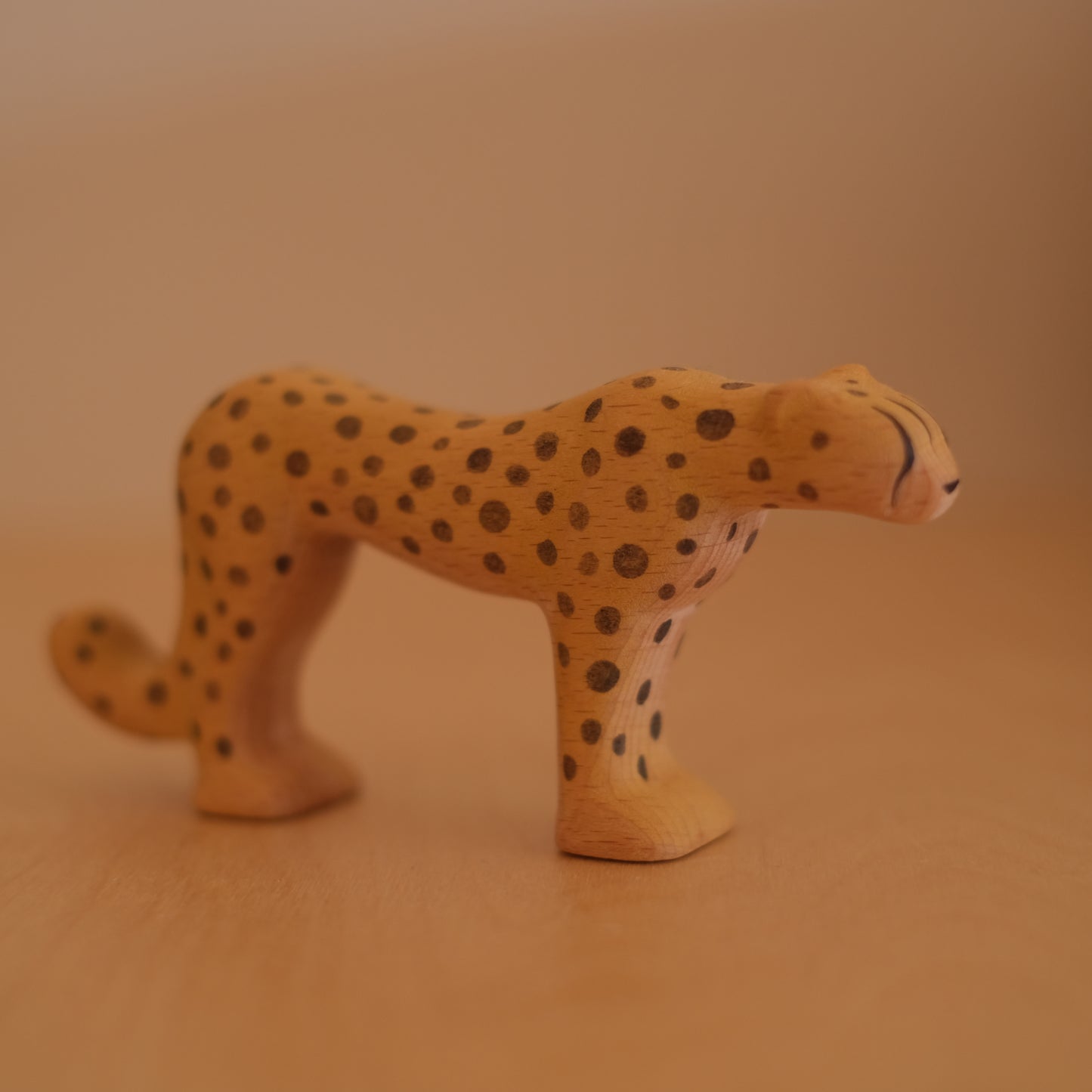 Cheetah