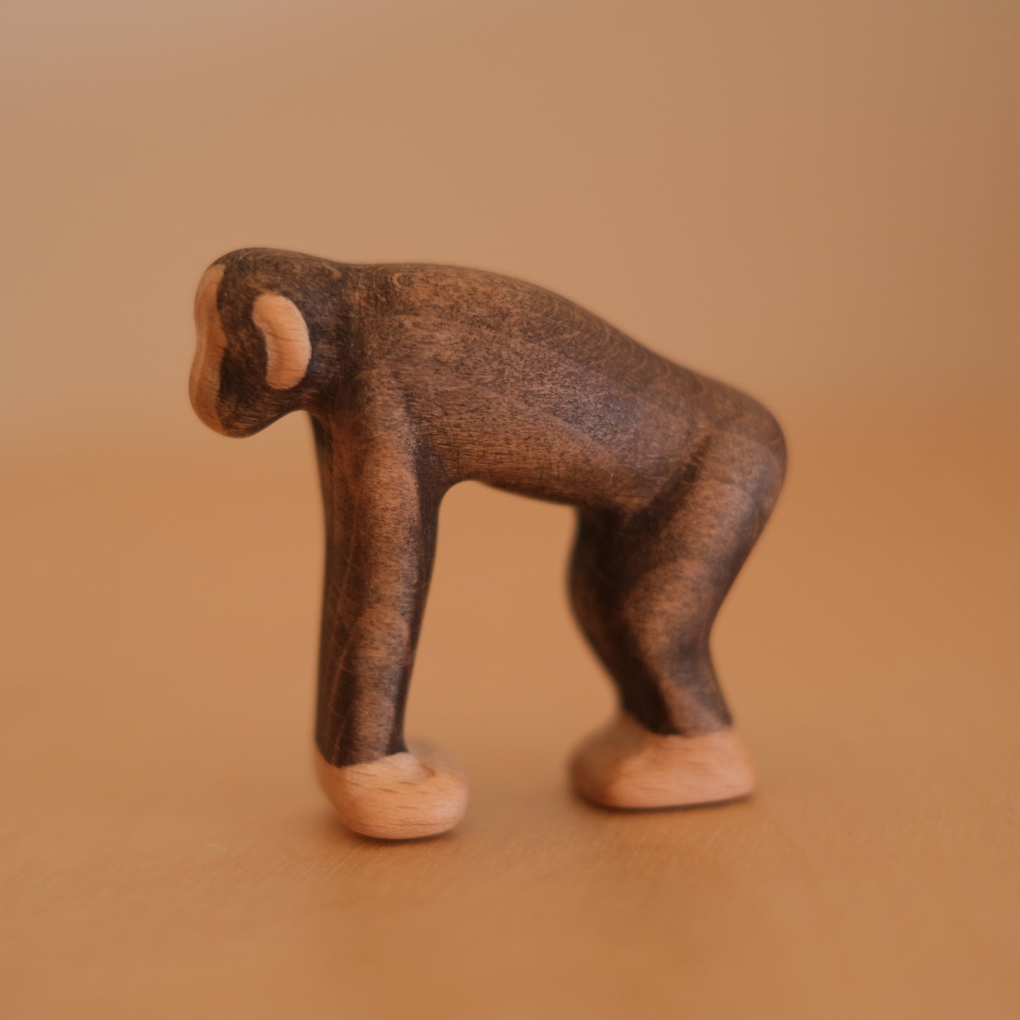 Chimpanzee