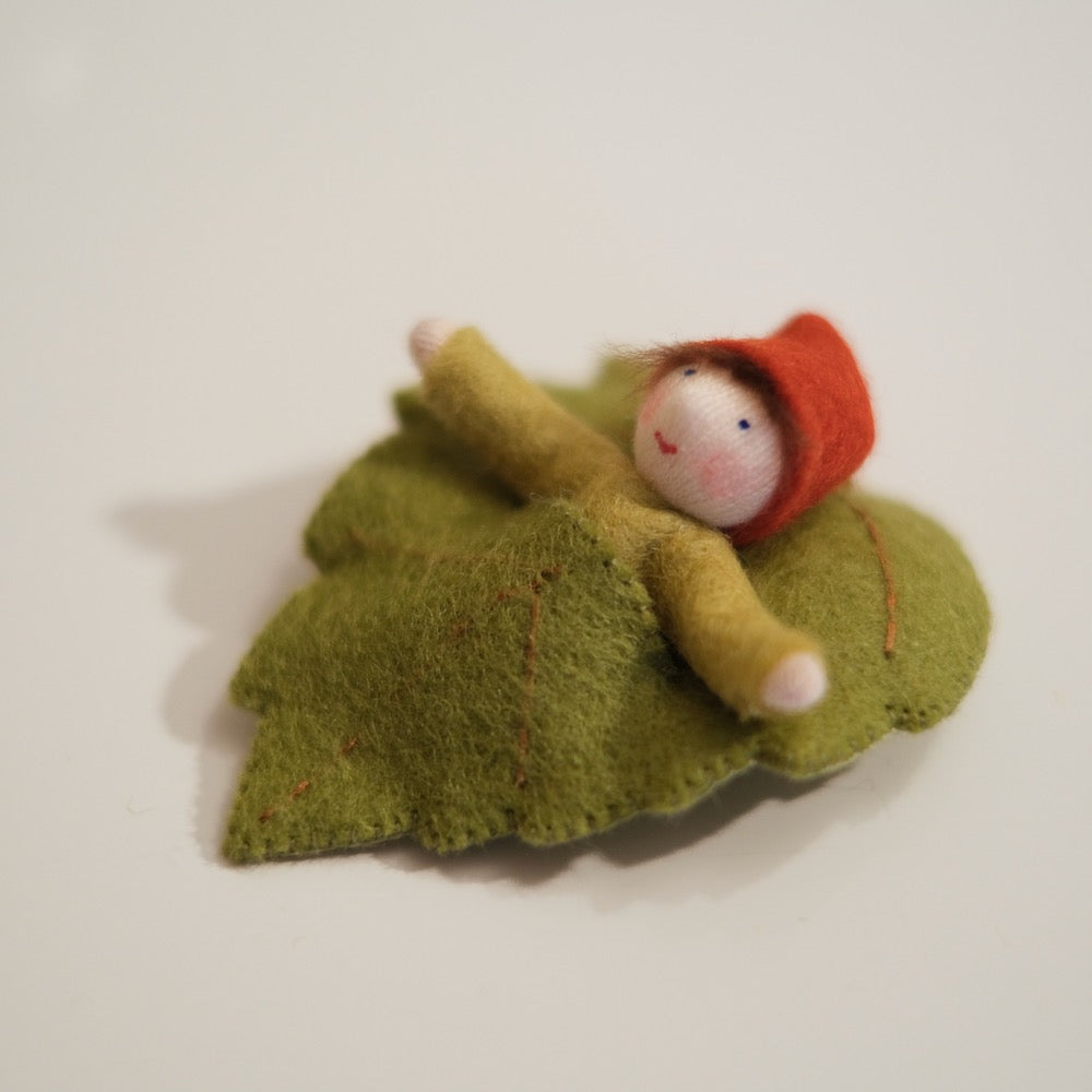 Ambrosius Nissebaby i blad
