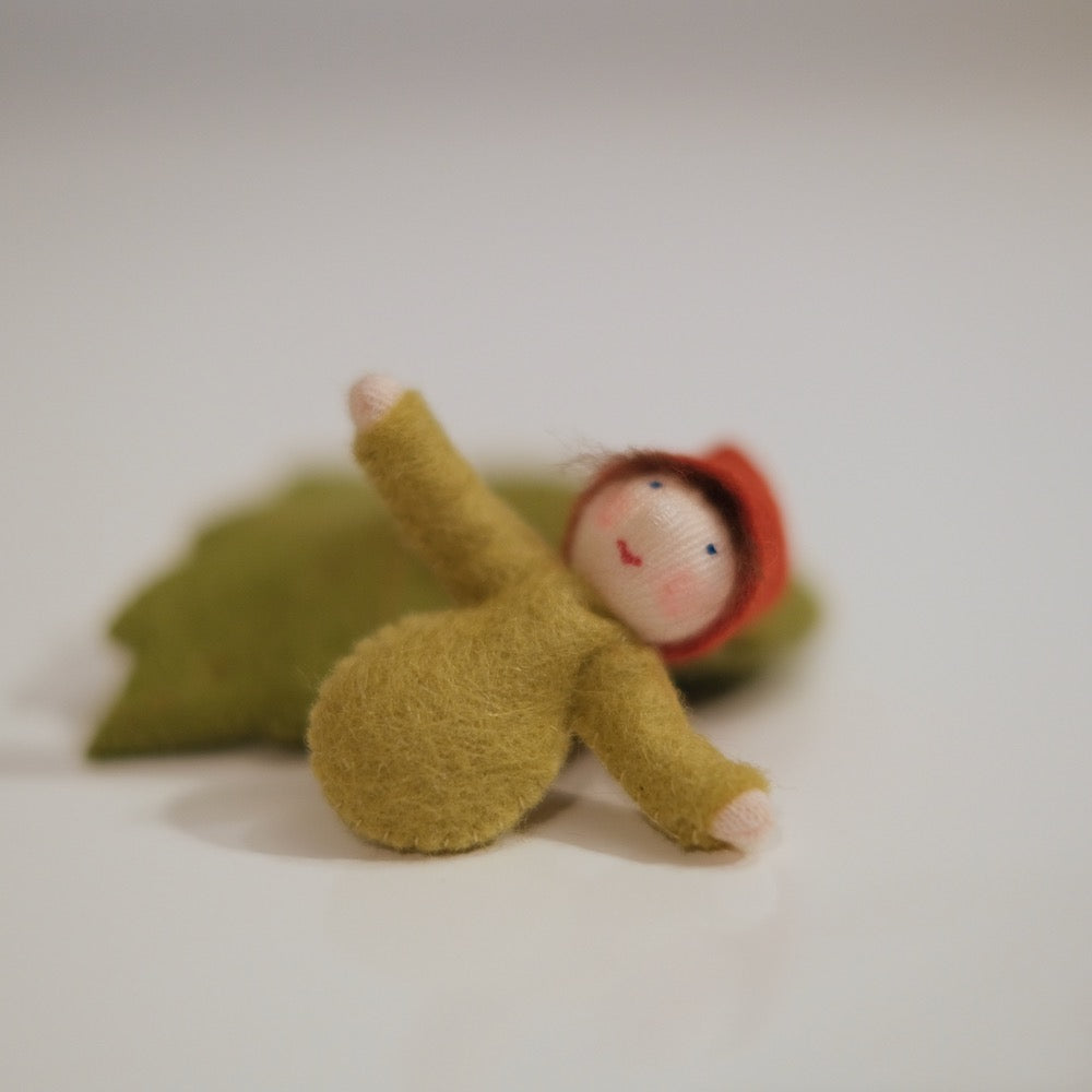 Ambrosius Nissebaby i blad