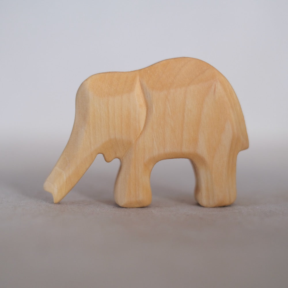 Elefant kalv, snabel ned
