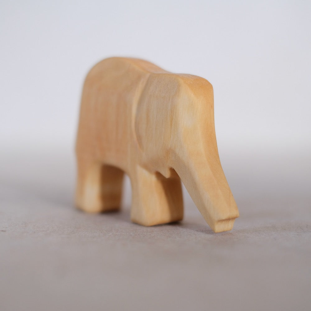 Elefant kalv, snabel ned