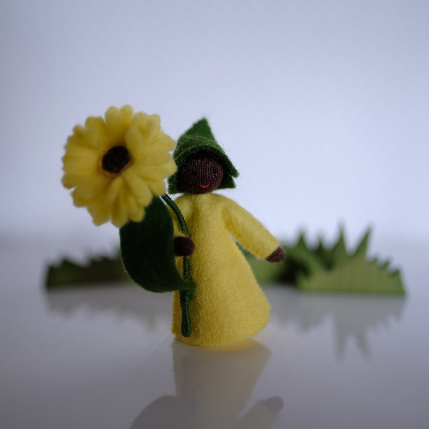 Ambrosius gul Calendula-fe
