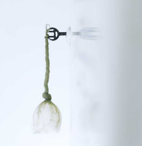 Imbolc 1./2. Februar