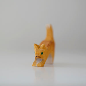 Ostheimer katt med hode lav