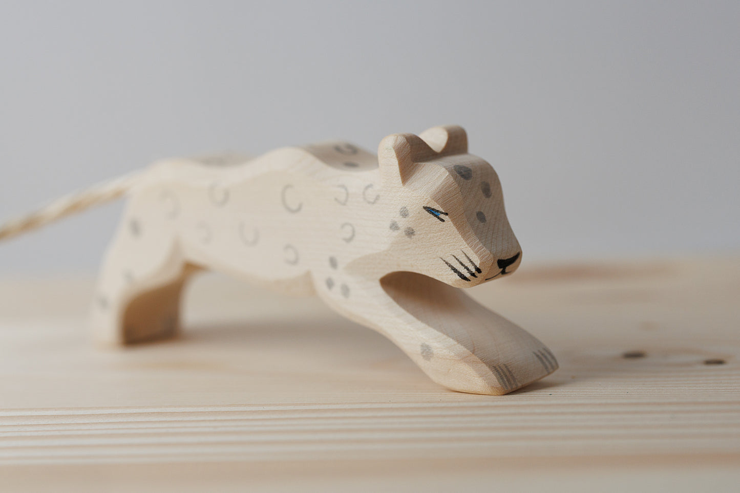 Ostheimer Snøleopard