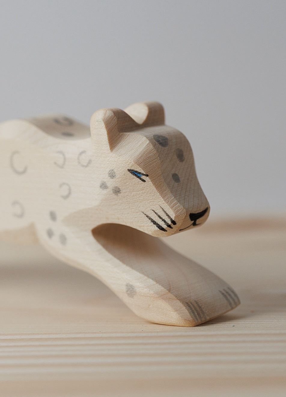 Ostheimer Snøleopard