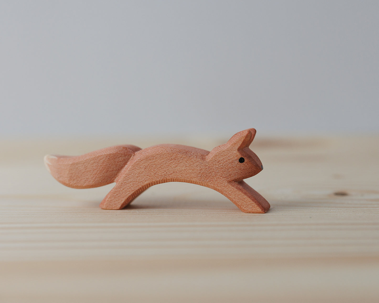 Ostheimer ekorn springende