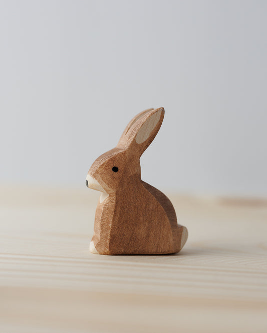 Ostheimer hare, sitter
