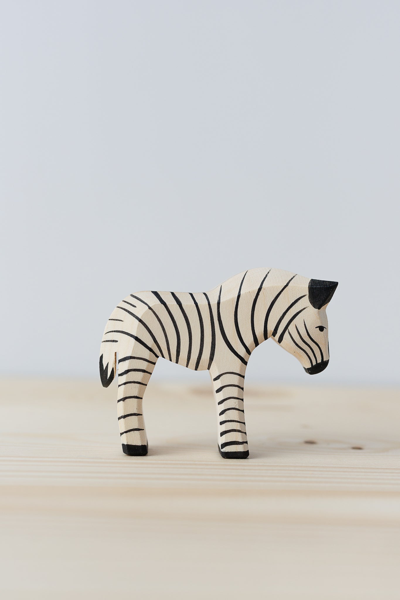 Ostheimer sebra liten