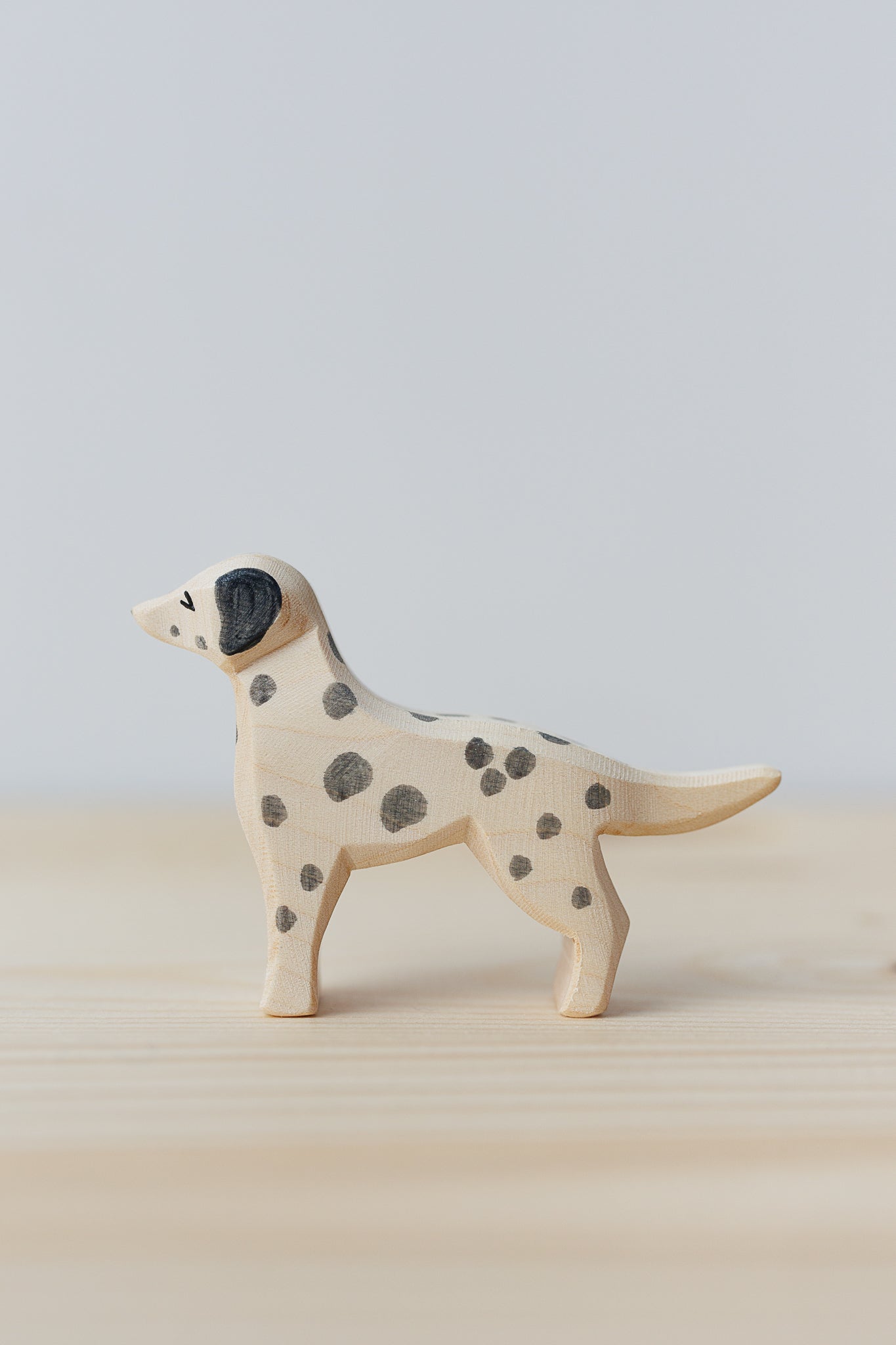 Ostheimer Dalmatiner