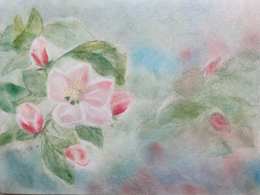 Epleblomst, Reiss