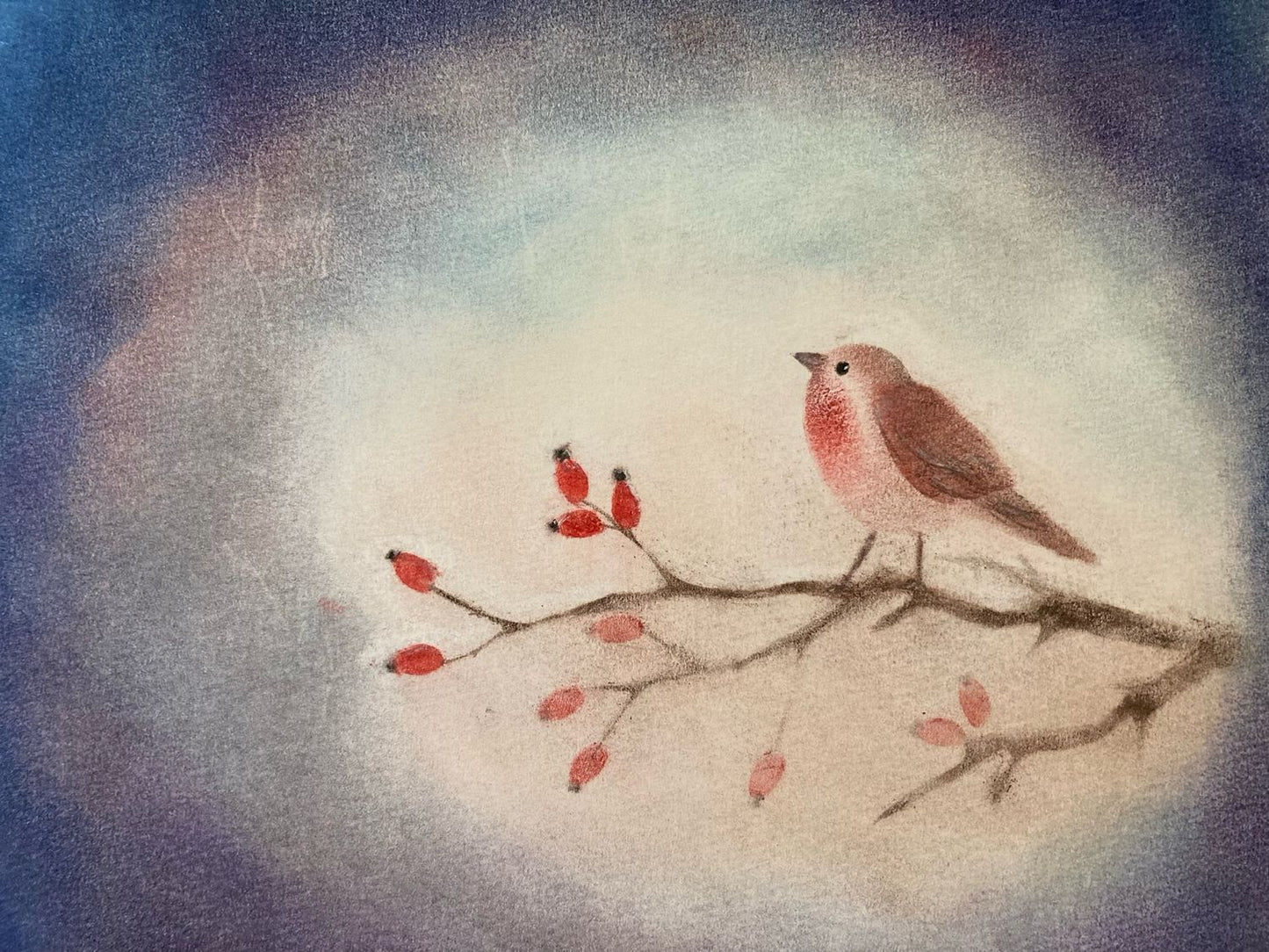 Robin