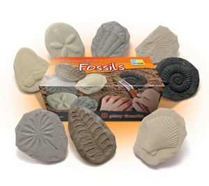 Let´s investigate - Fossils