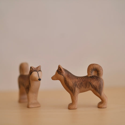 Inuit hund