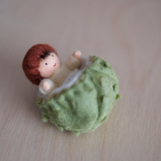 Ambrosius Kastanje baby
