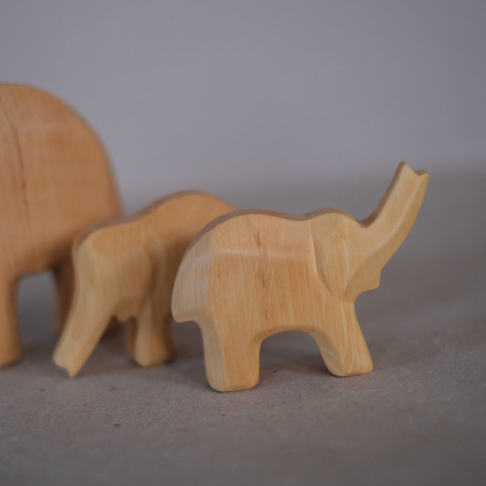 Elefant kalv, snabel opp